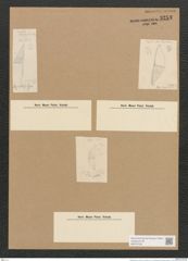 Diatomeae indet. (de-Toni-Nr.: Species 1247 ?) Zeichnungen Sammlung Grunow Nr. 3253 (NHMW-BOT-W0370728)
